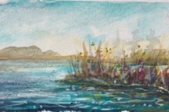 IMG_4336
